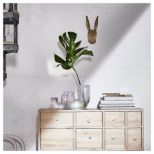 RÄFFELBJÖRK مزهرية, لون صدفي, 12 سم