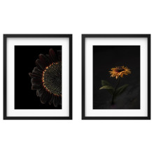 RÖDALM إطار مع صورة, دوار الشمس, 40x50 سم