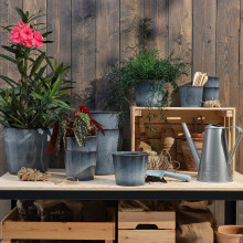 FJÄRILSBUSKE آنية نباتات, داخلي/خارجي/أزرق, 9 سم