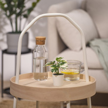 FEJKA نبات صناعي مع آنية, داخلي/خارجي مونستيرا, 6 سم