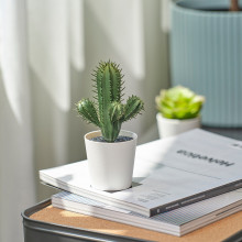 FEJKA نبات صناعي في آنية, داخلي/خارجي صبّار, 6 سم