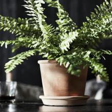 MUSKOTBLOMMA آنية نباتات مع صحن, داخلي/خارجي بلون الطين, 15 سم