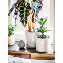 CHIAFRÖN آنية نباتات, داخلي/خارجي أبيض, 12 سم