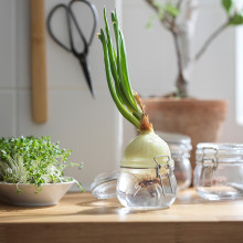 KORKEN برطمان بغطاء, زجاج شفاف, 0.5 ل