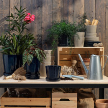 KLOTLÖNN آنية نباتات مع صحن, داخلي/خارجي/أسود-أزرق, 19 سم