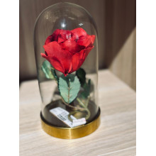 وردة داخل قبة زجاجية مع قاعدة 19 سم