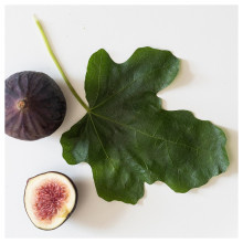DVÄRGHÖK شمعة معطرة في كأس بغطاء, ورقة تين أزرق/أصفر فاتح, 50 س