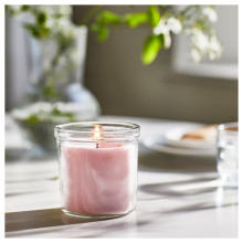LUGNARE شمعة معطرة في كأس, ياسمين/زهري, 40 س
