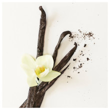TÖRNFÅGEL شمعة معطرة في كأس, فانيلا ألوان منوعة, 20 س
