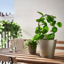 CITRONMELISS وعاء نباتات, داخلي/خارجي/رمادي, 15 سم