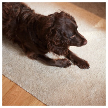 STOENSE Rug, low pile, pale pink, 70 cm