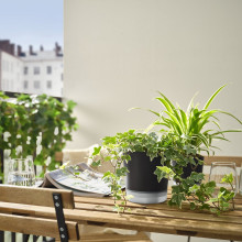 VÅRDTRÄD آنية نباتات ذاتية السقي, داخلي/خارجي شفّاف/فحمي, 12 سم