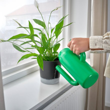 VÅRDTRÄD آنية نباتات ذاتية السقي, داخلي/خارجي شفّاف/فحمي, 12 سم