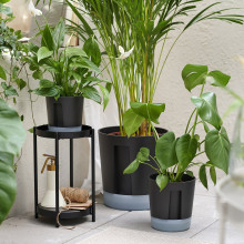 VÅRDTRÄD آنية نباتات ذاتية السقي, داخلي/خارجي شفّاف/فحمي, 12 سم